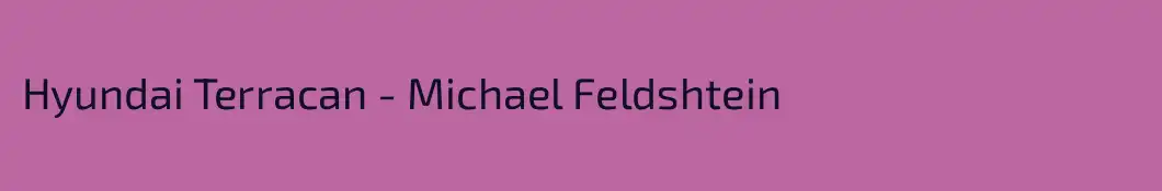 Hyundai Terracan - Michael Feldshtein